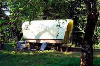 Glamping Tlaka - Gornji Grad - 5