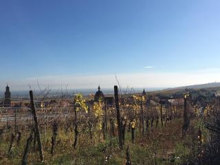 Charming house Riquewihr, Alsace - 2