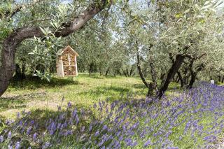 Palagina Il Borgo Agricolo - Figline Valdarno - 6