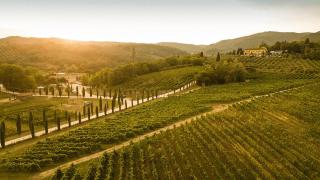 Palagina Il Borgo Agricolo - Figline Valdarno - 1