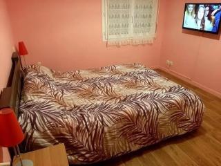 Appartement accueillant à Saint-Jean-Pied-de-Port, 69 m² - Saint-Jean-Pied-de-Port - 5