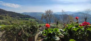 La Higuera Casa Rural, Soba, Cantabria - - 6