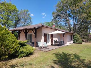 Maison au cœur des landes - Luglon - 0