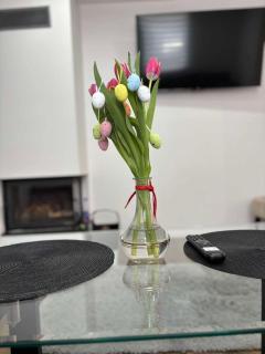 Noclegi Leśne Bagno - 1