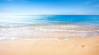 Cozy home in beautiful Barbados - Bridgetown - 0