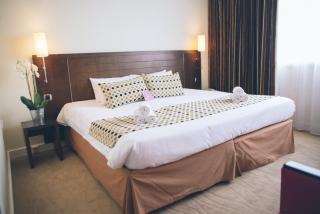 Novotel Angers Lac de Maine - 3