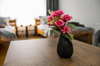 Cozy 2BDRM near University & Free Street Parking - 8