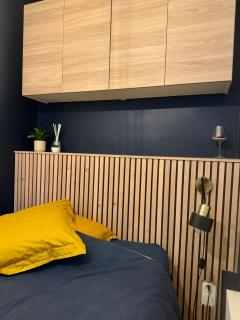 Strasbourg, Appartement cosy au bord de l eau - Straatsburg - 7