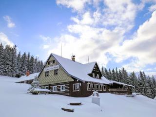 Chalet U Dvou vleků by Interhome - 0