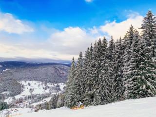 Chalet U Dvou vleků by Interhome - 5