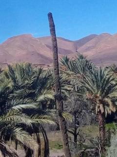 Ighles ouarzazat - - 2