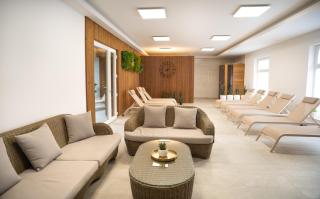 REMZ Apartments & Wellness - Dorog - 0