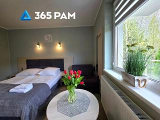 365PAM - Studio C35 Dominikana - 8