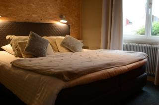 Hotel SPA Au Cheval Blanc - Ribeauvillé - 5