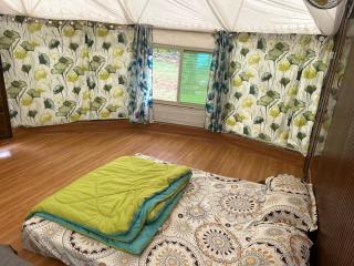 Dome stay nature retreat - Golhalli - 1