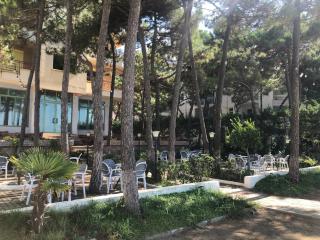Margo Sea View Studio - - 1