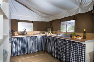 Plover - Bleasdale - Chipping - 8
