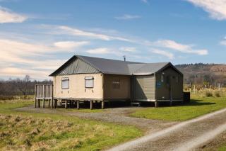 Plover - Bleasdale - Chipping - 0