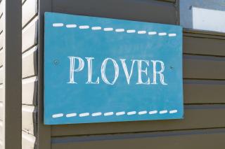 Plover - Bleasdale - Chipping - 4