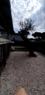 mobil-home grand confort - Hyères - 1
