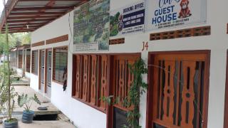 CINDY BACK PACKER GUEST HOUSE & book treking with us - Bukit Lawang - 9