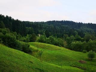 Cabana Livada - Borşa - 1