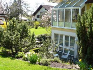 Haus Ahorn - Bad Dürrheim - 1