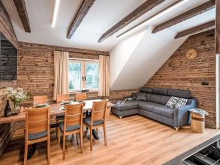 Apartment Dolní Morava-6 by Interhome - Horní Morava - 0