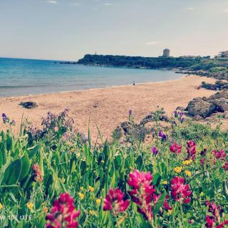 Conchiglia Appartamento Vacanze 6 posti a pochi passi dal MARE - 7
