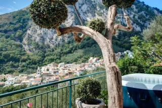 Ulivello House Sea View - Massa Lubrense - 1