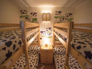 Appartement lumineux 2 pièces à Crève Coeur, proche pistes et commerces - FR-1-356-271 - Valmorel - 5