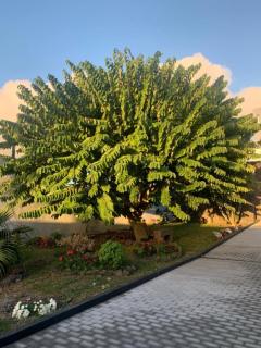 Casa Belém 5 - 1
