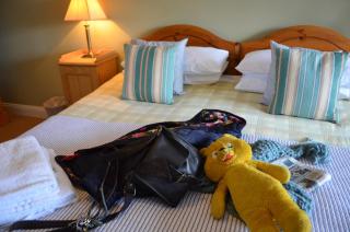The Dolphin Inn - Thorpeness - 5