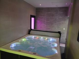 ONLY YOU option spa, sauna et piscine - Castelsarrasin - 8