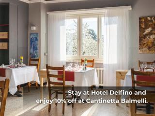 Hotel Delfino Lugano - Lugano - 6