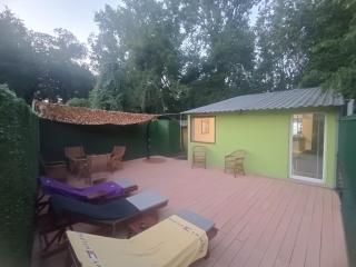 Green house - Sremska Kamenica - 8