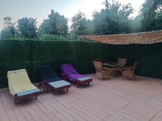 Green house - Sremska Kamenica - 2