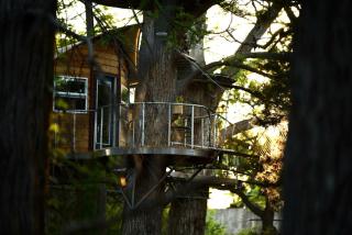 Adventures Await at this Stunning Tree House Retreat in Texas - Spicewood - 6