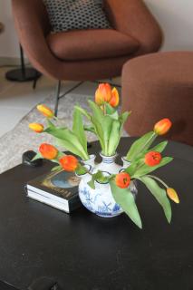 VillaGassin 380 - Saint-Tropez - 1