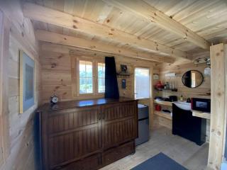 Red Salmon Lake View Cabin - Cantwell - 8
