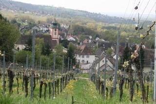 Ferienwohnung Wagner mit 35 qm Fr - Bad Bellingen - 3