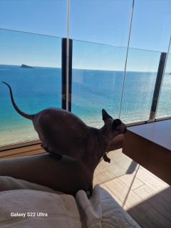 Mar habitación - Benidorm - 9