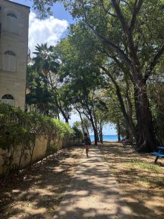 5 mins From Beach, Breezy Bright Room, St James - Saint Michael - 4
