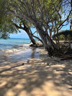 5 mins From Beach, Breezy Bright Room, St James - Saint Michael - 5