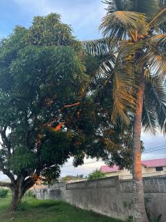 5 mins From Beach, Breezy Bright Room, St James - Saint Michael - 8