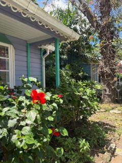 5 mins From Beach, Breezy Bright Room, St James - Saint Michael - 9