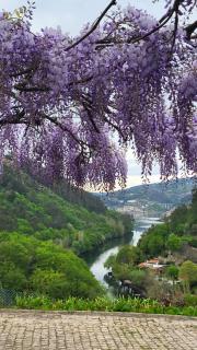 Douro Studio - 5