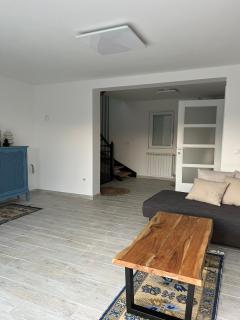 Holiday home - Sremska Kamenica - 5