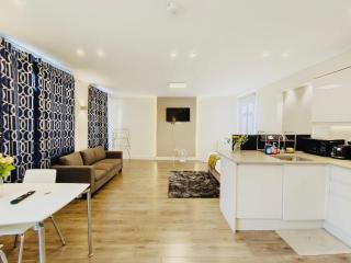 Contemporary 2 Bedroom Apartment In Central London - 2