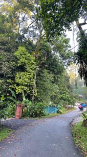 Rumah Melati - Kuala Lumpur - 7